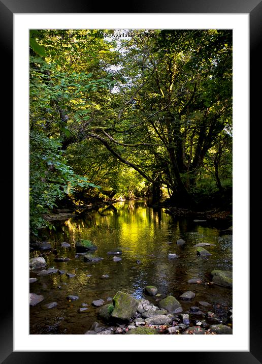 Fifty shades of green Framed Mounted Print by Jim Jones