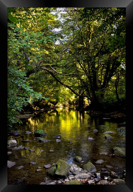 Fifty shades of green Framed Print by Jim Jones