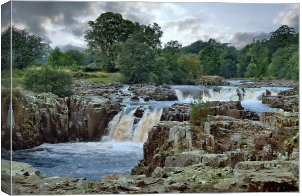 Storm brewing at Low Force waterfalls Canvas Print by ROS RIDLEY