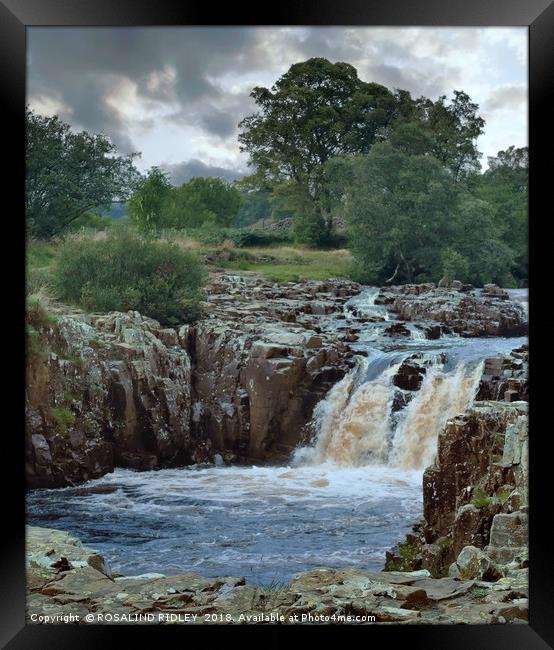 "Portrait of a waterfall" Framed Print by ROS RIDLEY