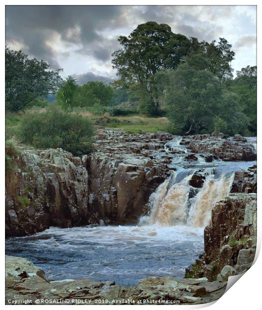 "Portrait of a waterfall" Print by ROS RIDLEY