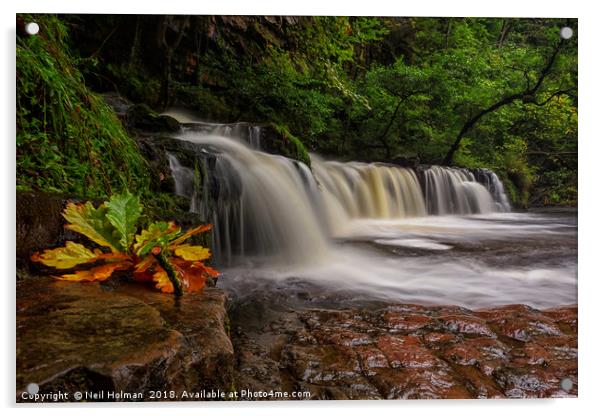 Lower Dwili Waterfall, Pontneddfechan Acrylic by Neil Holman