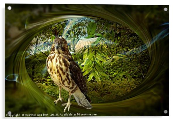 Falcon'sHaunt Acrylic by Heather Goodwin