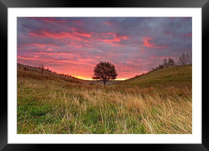 Lonesome Sunrise Framed Mounted Print by Matt Cottam