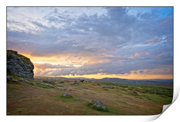 Wild horse of Dartmoor Print by tom downing