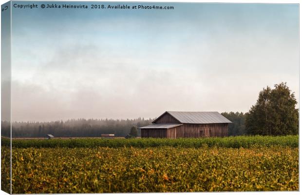 Misty Morning By The Fields Canvas Print by Jukka Heinovirta