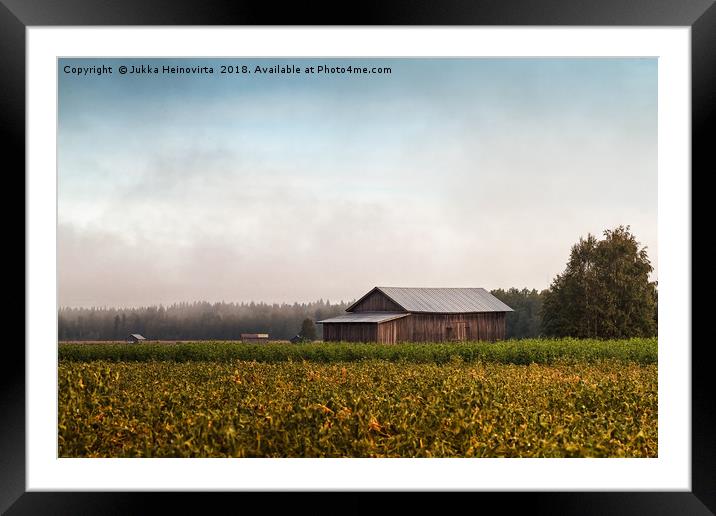 Misty Morning By The Fields Framed Mounted Print by Jukka Heinovirta