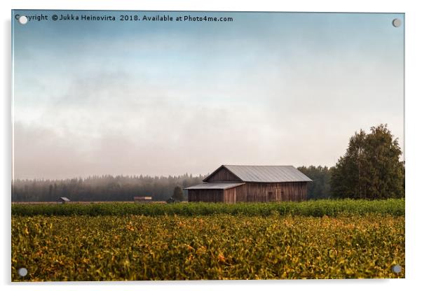 Misty Morning By The Fields Acrylic by Jukka Heinovirta