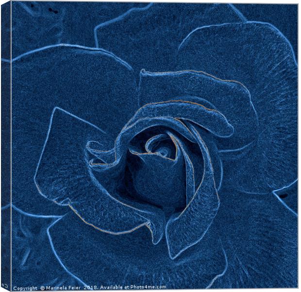 velvety blue rose Canvas Print by Marinela Feier