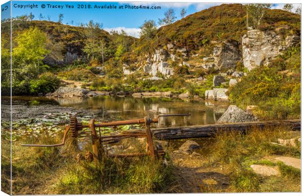 Haytor Quarry Dartmoor  Canvas Print by Tracey Yeo