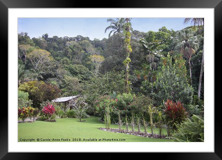 Botanical Gardens Framed Mounted Print by Carole-Anne Fooks
