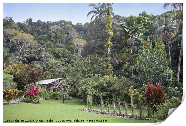 Botanical Gardens Print by Carole-Anne Fooks