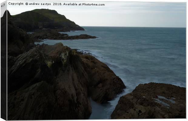 ROCKS OF ILFRACOMBE Canvas Print by andrew saxton