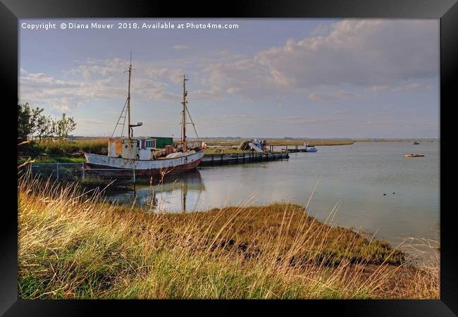 Summer Evening on the Walton Backwaters. Framed Print by Diana Mower