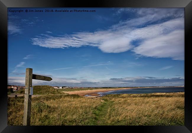 Pointing the way Framed Print by Jim Jones