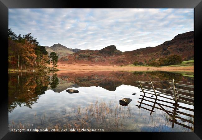 Blea Tarn's Reflection of Serenity at Dawn. Framed Print by Philip Veale