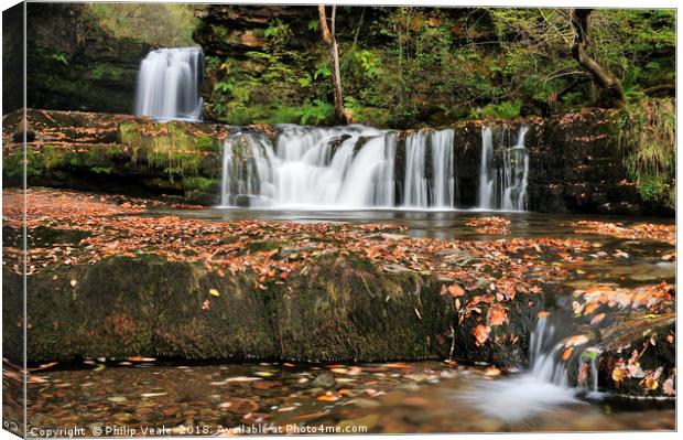 Horseshoe Falls surrounded by Autumn Colour. Canvas Print by Philip Veale