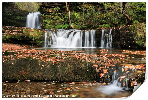 Horseshoe Falls surrounded by Autumn Colour. Print by Philip Veale