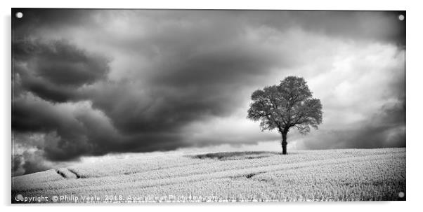Storm Brewing over Rapeseed Field, Monochrome. Acrylic by Philip Veale