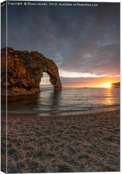 Durdle Door bathed by the sun  Canvas Print by Shaun Jacobs