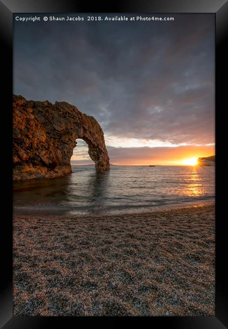 Durdle Door bathed by the sun  Framed Print by Shaun Jacobs