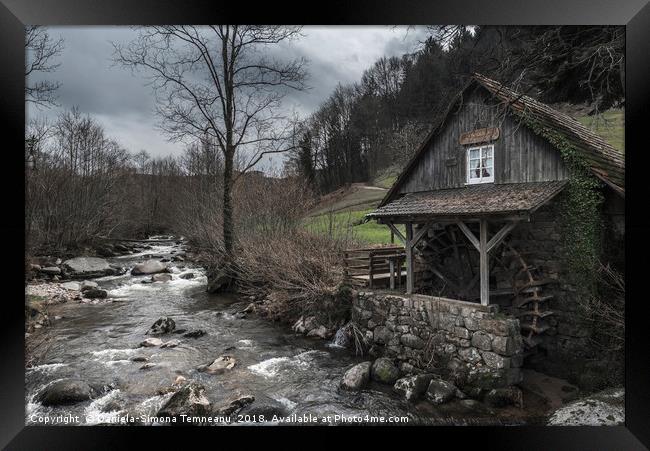 Old abandoned water mill near a mountain river Framed Print by Daniela Simona Temneanu