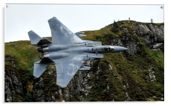 F15c Eagle low level in Wales    Acrylic by Philip Catleugh