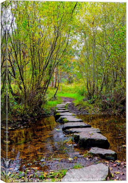 Newtonmore stepping stones Canvas Print by Rosaline Napier
