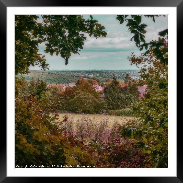 Autumn's Whisper from Hunger Hills Framed Mounted Print by Colin Metcalf