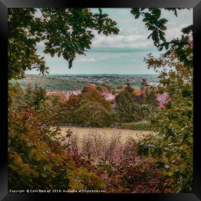 Autumn's Whisper from Hunger Hills Framed Print by Colin Metcalf