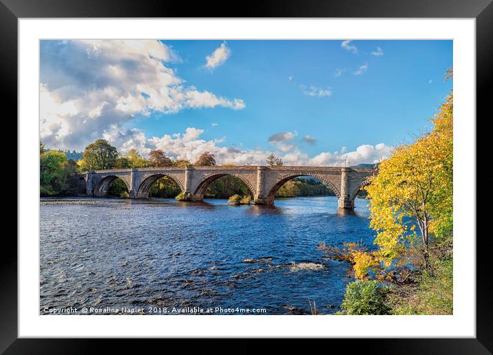 Autumn glow at Dunkeld Framed Mounted Print by Rosaline Napier