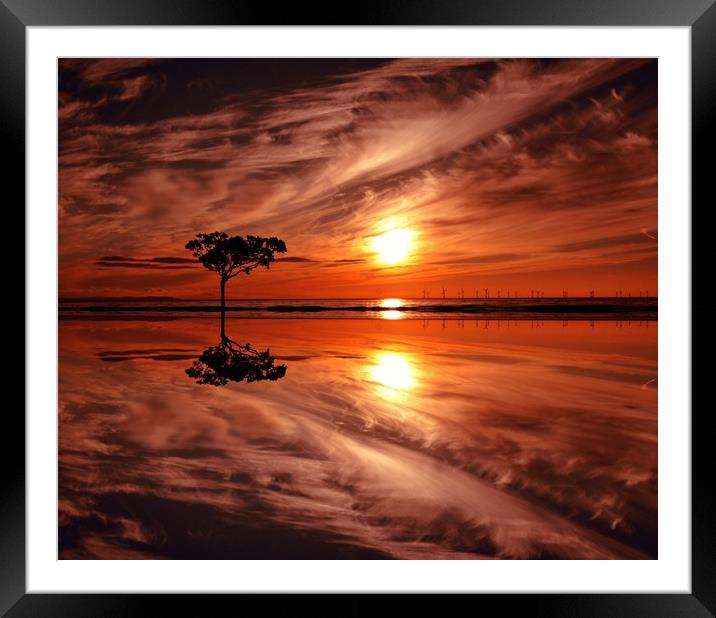 lone tree at sunset Framed Mounted Print by sue davies