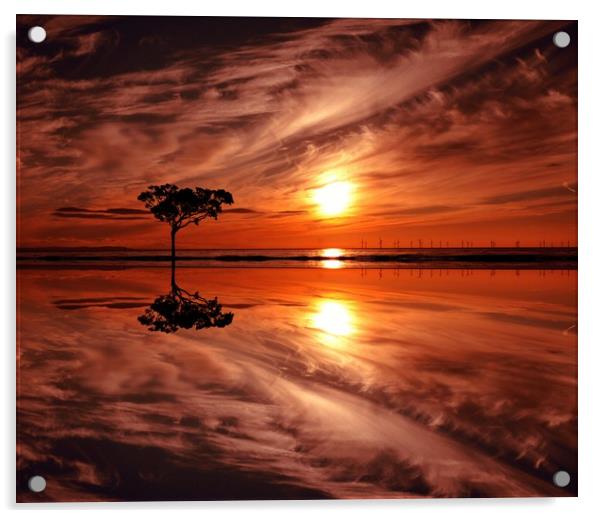 lone tree at sunset Acrylic by sue davies