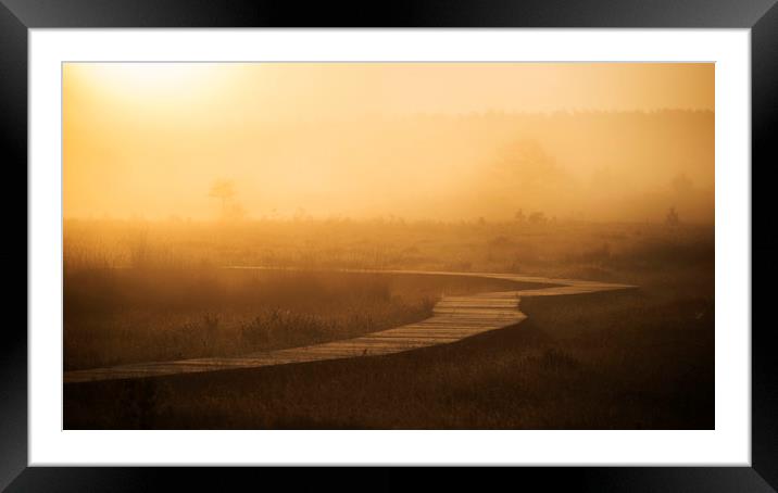 Misty Path Framed Mounted Print by Dave Wragg