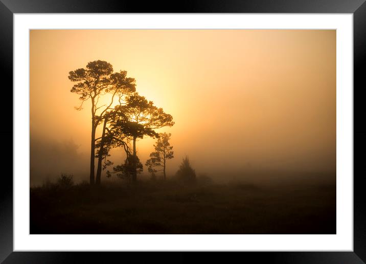 Misty Sunrise Framed Mounted Print by Dave Wragg