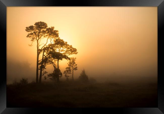 Misty Sunrise Framed Print by Dave Wragg