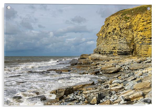 Cliffs at Dunraven Bay Southerndown Acrylic by Nick Jenkins