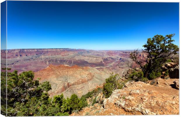 Wide view of the Grand Canyon South Rim in Arizona Canvas Print by Thomas Baker
