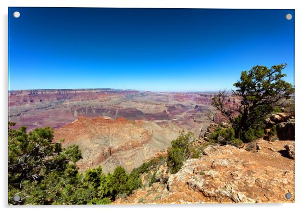 Wide view of the Grand Canyon South Rim in Arizona Acrylic by Thomas Baker