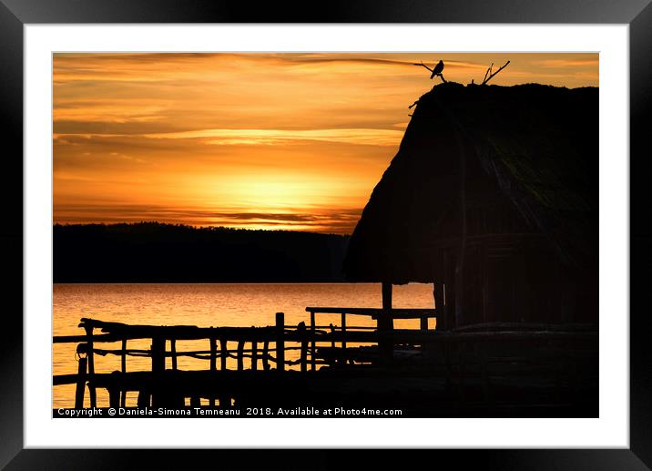 Silhouette of a cottage and bird  at sunset Framed Mounted Print by Daniela Simona Temneanu
