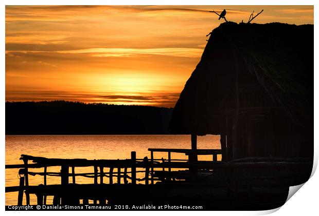 Silhouette of a cottage and bird  at sunset Print by Daniela Simona Temneanu