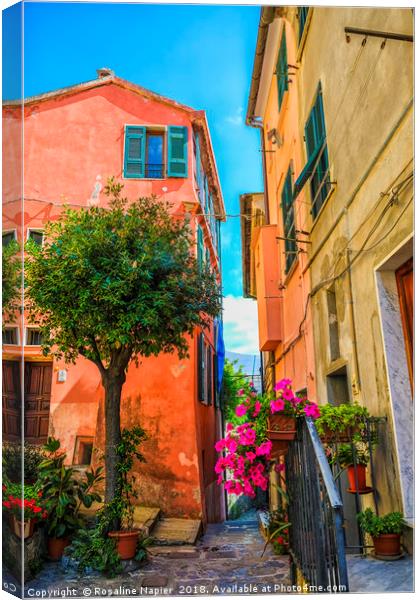 Porto Venere terracotta houses Canvas Print by Rosaline Napier