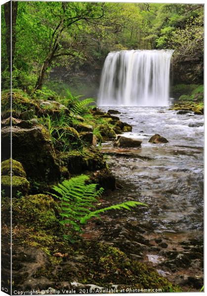 Sgwd Yr Eira in Spring. Canvas Print by Philip Veale