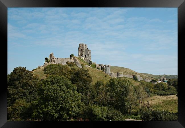 A postcard view of Corfe Castle Framed Print by Simon J Beer