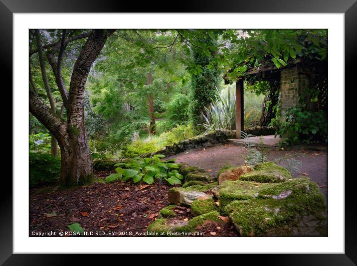 "Little Arbour in the wood 2" Framed Mounted Print by ROS RIDLEY