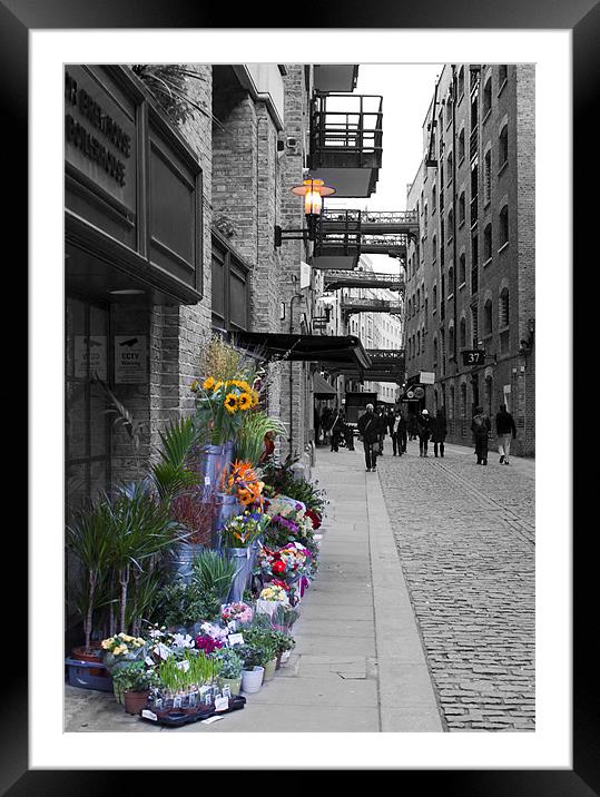 Butlers Wharf Framed Mounted Print by David French