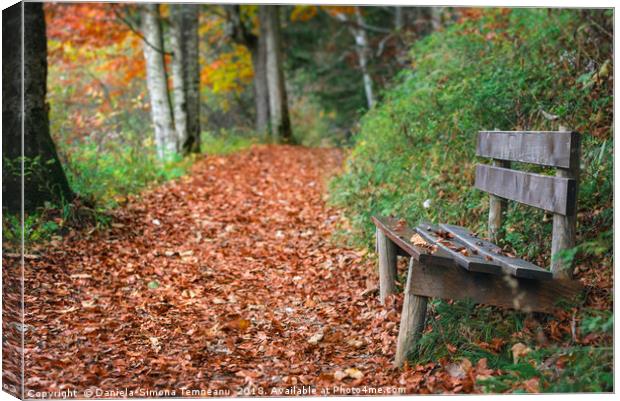 Wooden bench on forest alley with autumn leaves Canvas Print by Daniela Simona Temneanu