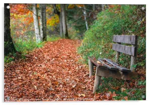 Wooden bench on forest alley with autumn leaves Acrylic by Daniela Simona Temneanu