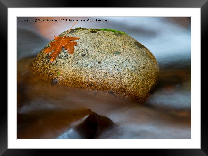 Steadfast Framed Mounted Print by Mike Dawson