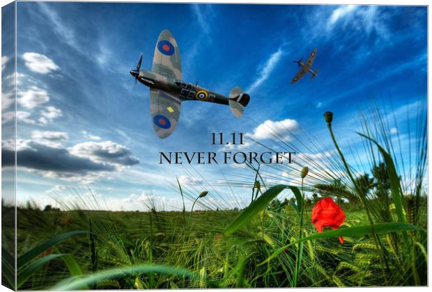 Never forget Canvas Print by Stephen Ward